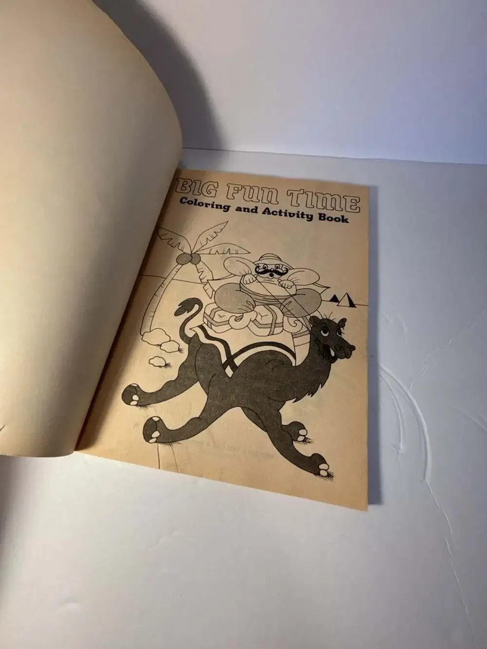 Big Fun Time Coloring and Activity Book Item #0101